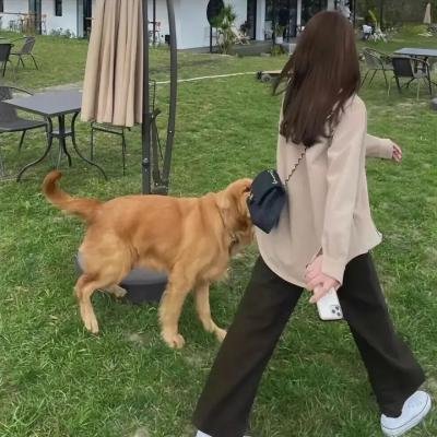 第八圈